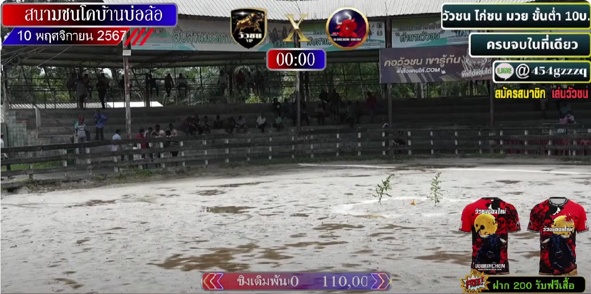 ไฮไลท์วัวชน  วันที 10 พฤศจิกายน 2567 